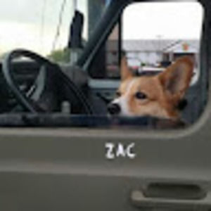 Meet your Posher, Warren